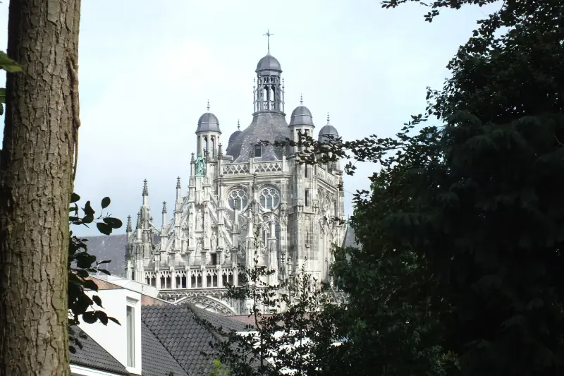 De Sint-Janskathedraal in 's-Hertogenbosch, tussen de bomen
