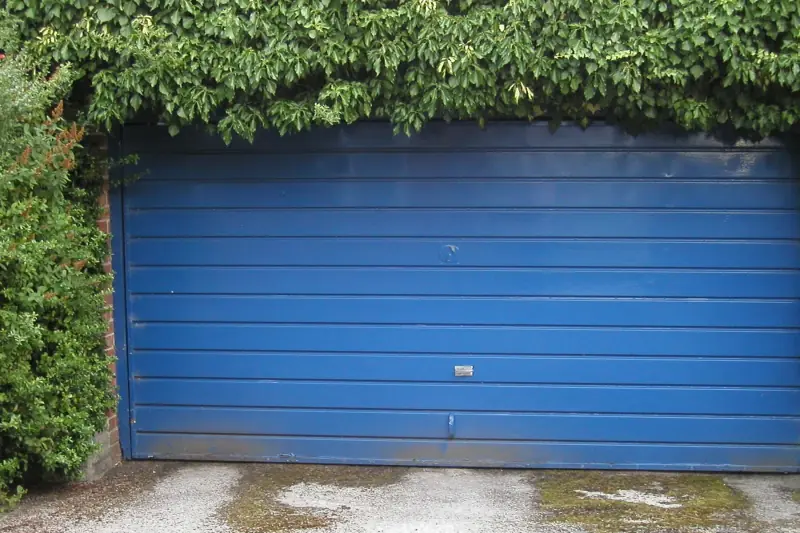 Een blauwe kanteldeur van een garage, met klimop erboven