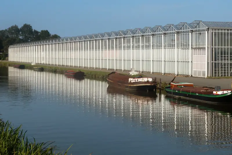 Kassen aan het water in Poeldijk, in de gemeente Westland