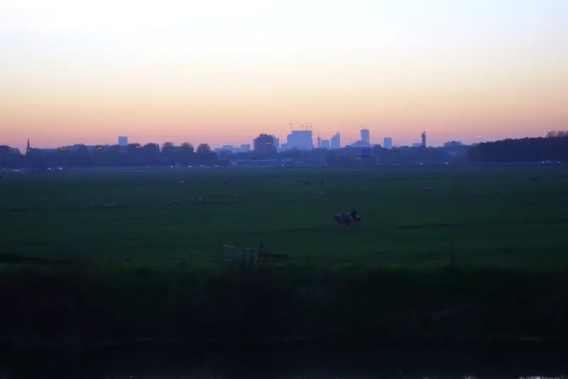 De skyline van Zoetermeer bij zonsondergang, over de weilanden